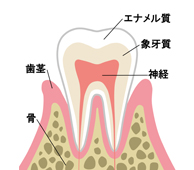 横浜市西区・スカイビル歯科