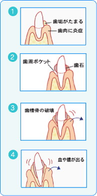 横浜市西区・スカイビル歯科