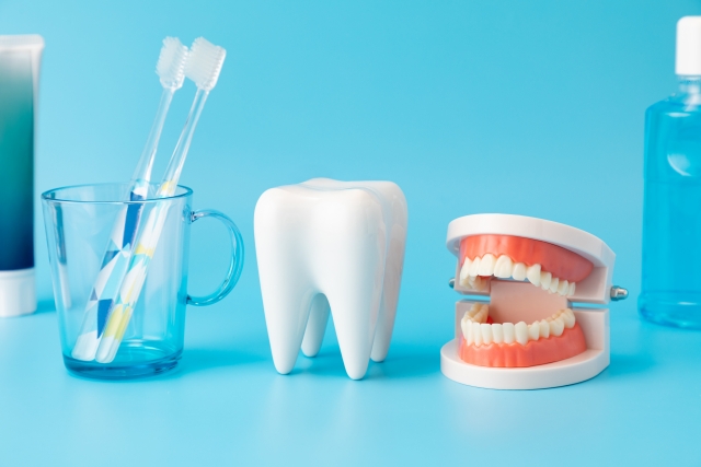 歯医者で行っている予防歯科ってどんなの?現役の歯科医が解説します